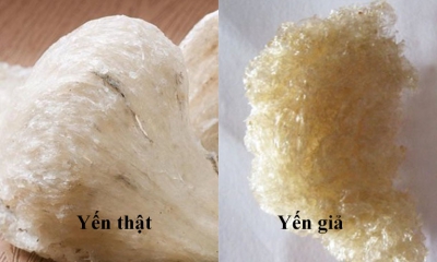 Làm sao để phân biệt yến sào chất lượng thật và hàng giả